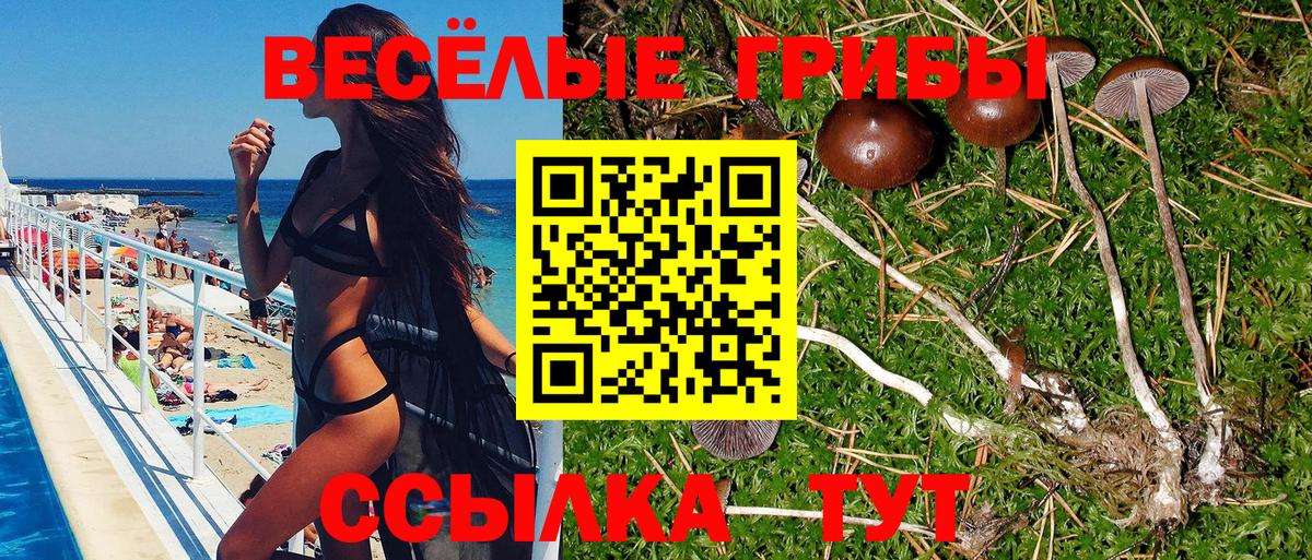 Новоуральск  Галлюциногенные грибы Magic Shrooms  Вход с VPN 