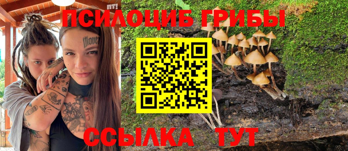 Галлюциногенные грибы MAGIC MUSHROOMS Новоуральск
